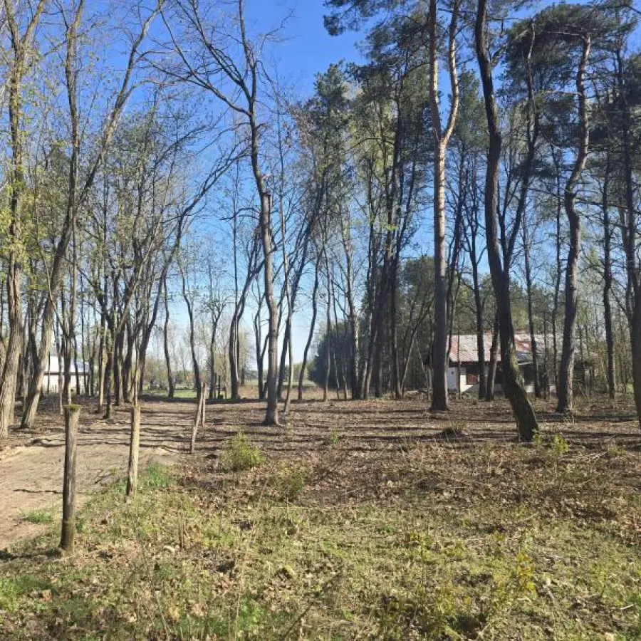 mazowieckie, wołomiński, Wołomin, Mironowe Górki, Idealna pod inwestycję – działka 4500 m² z WZ