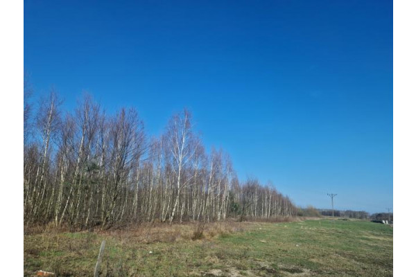 wołomiński, Wołomin, Zagościniec, 100-lecia, Działka na sprzedaż