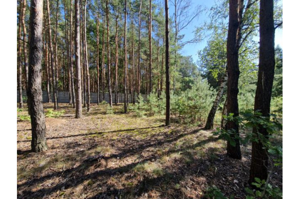 wołomiński, Wołomin, Majdan, Działka pod zabudowę 15 budynków mieszkalnych