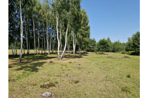 wołomiński, Tłuszcz, Dom z działką 1 ha