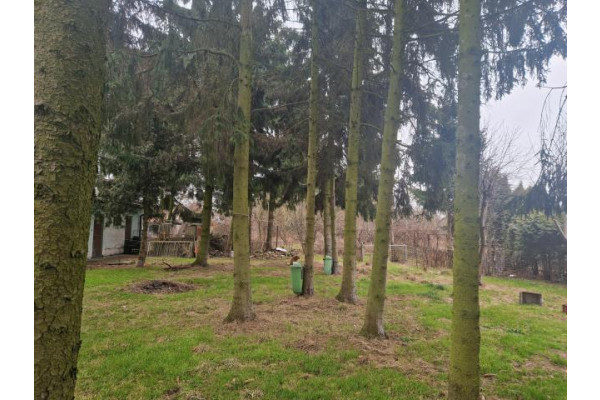 Jadów, wołomiński, Działka na sprzedaż