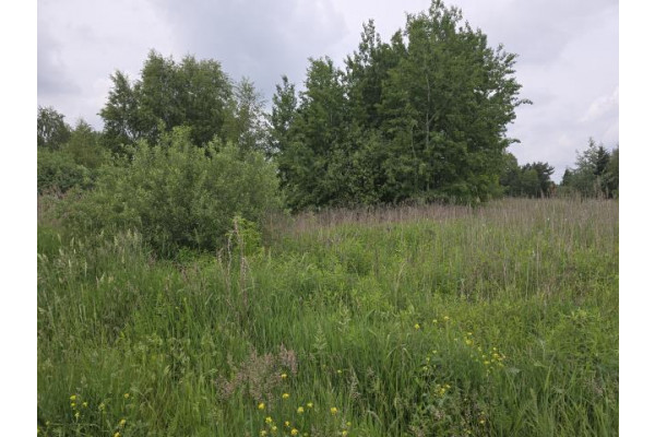 wołomiński, Radzymin, Łokietka, Działka budowlana