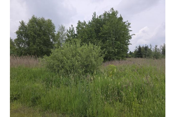 wołomiński, Radzymin, Łokietka, Działka budowlana
