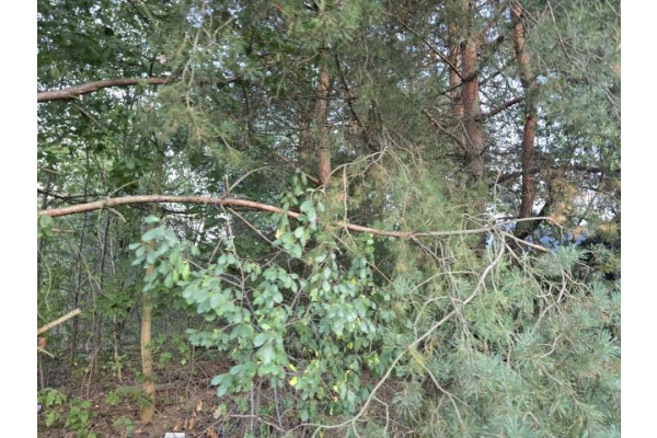 wołomiński, Wołomin, Czarna, Wincentego Witosa, Działka budowlana