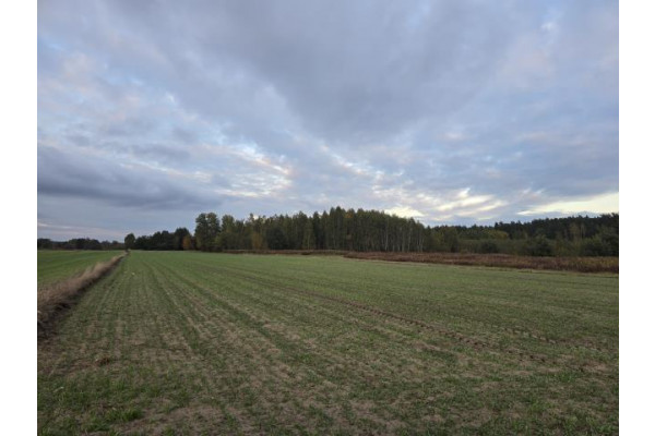 wołomiński, Klembów, Krzywica, Działka budowlano - rolna