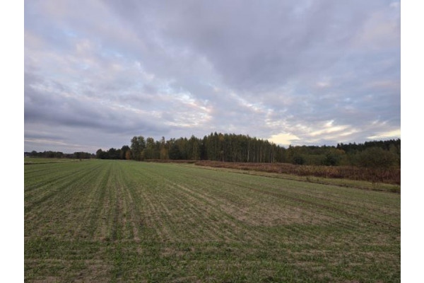 wołomiński, Klembów, Krzywica, Działka budowlano - rolna